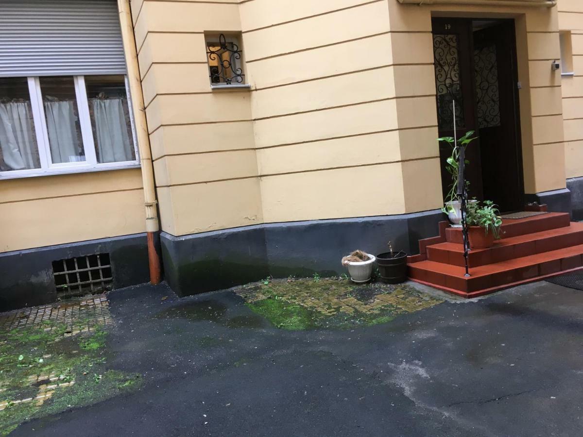 Romantik Eko Apartment Lvov Exteriér fotografie